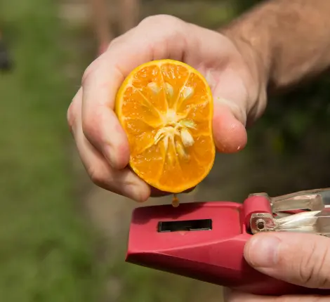 orange being squeezed