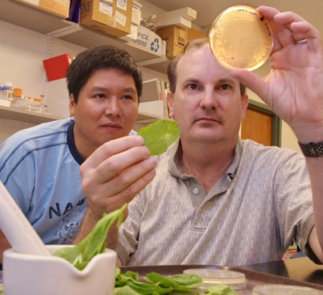 Scientists examining a petri dish