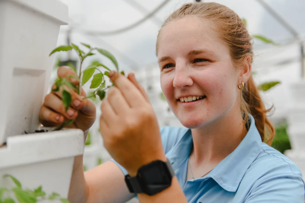 A woman observing a plant