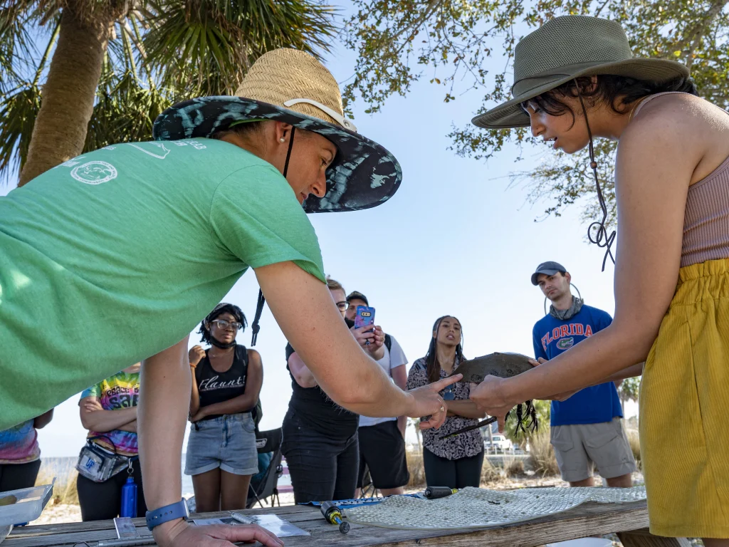 Group of students observing an object outdoors