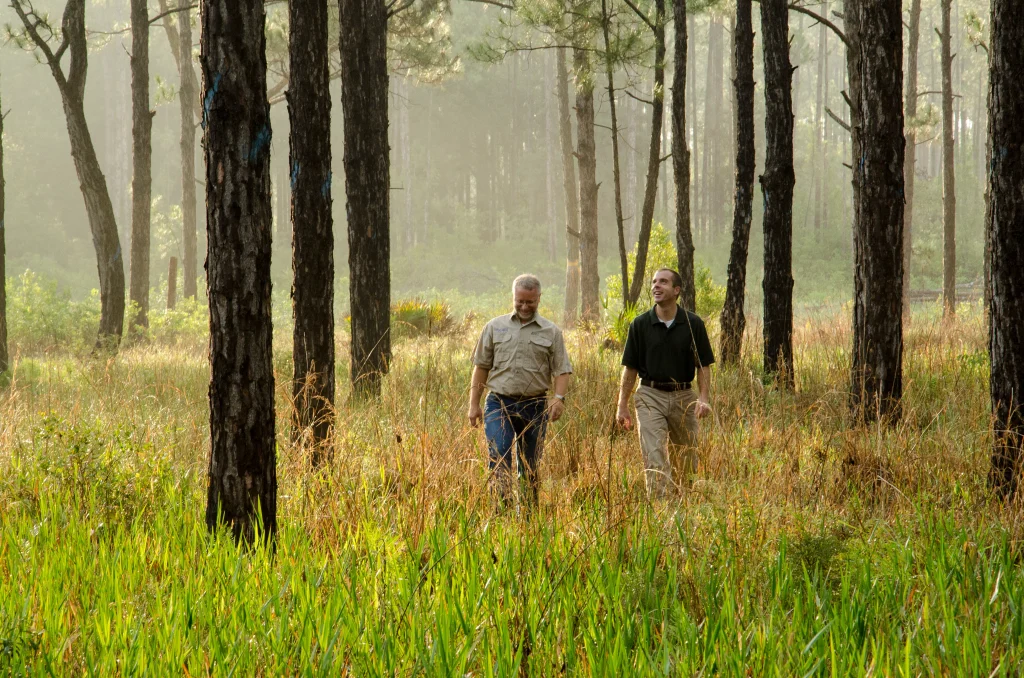 Two people walking in a forest