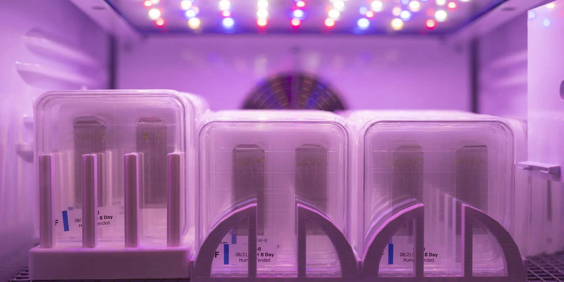 A close-up of Blue Origin samples
