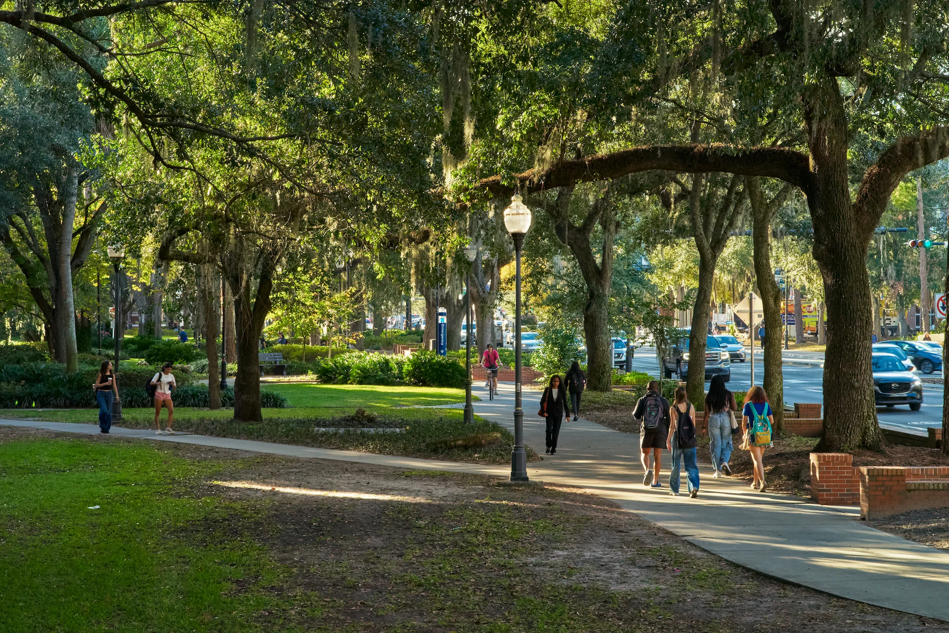 A shot of UF's Gainesville campus